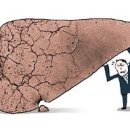 경화약국 이미지