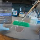 Mystery fo 이미지