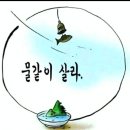 일천스님ㅡ반야심경에 빠지다ㅡ1 이미지