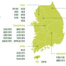 뱃살도둑 진접점 네이버블로그