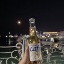 성지로 | 여수 낚시 캠핑 차박 성지로 불리는 국동항 후기