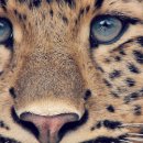 유동물원 이미지