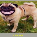 컴퓨터광장 이미지