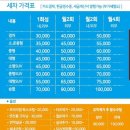 천안출장세차본딩카케어