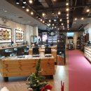 디옵터뮤지엄 이미지