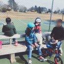 오 마이 프렌즈 이미지