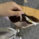 파리바게뜨정왕역점