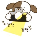 증평스크린골프연습장 이미지