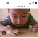 지선농장 | cebubu
