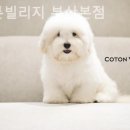 코튼빌리지 부산본점 이미지