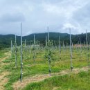 탑선마을 이미지