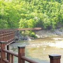 월류봉~반야사 문화생태탐방로 | 트레킹 성지 발견👣 영동 월류봉둘레길 완전 정복!