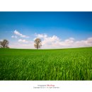 (주)안성목장 이미지