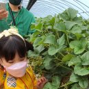 꿈바위어린이집 이미지