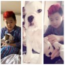 강아지사랑 이미지