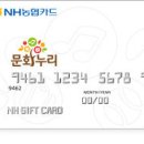 문화누리기 이미지