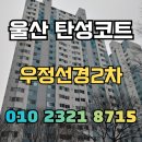 주식회사 우정 | 울산 탄성코트 우정선경2차아파트 베란다 들뜸 제거 후 탄성 시공