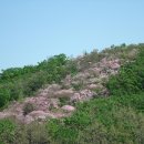 명곡마을회관 이미지