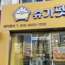 슈가펫살롱 | 슈가펫살롱 익산점/애견미용 목욕 스파 /익산에서 애견미용 잘하는 애견샵