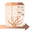 씨쿠드 | [쏜직한후기] 엄마와 함께 먹는 헬시프렌 프리미엄 쿠드주 정