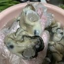 순애민박 이미지