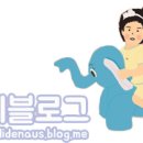 미용할개 이미지