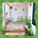 자이언트포레스트 이미지