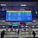 옹진농업협동조합 연평지점 | 연평도 출장 : 돌아오지 못하는 줄 알면서 갔다