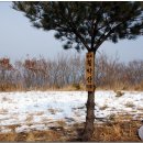 환희1리 이미지