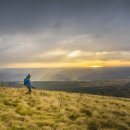 일등메디칼약국 이미지