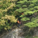 부부2 태양광발전소 이미지