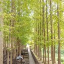 용화산성 | 청주 가볼만한곳 청남대, 상당산성, 청주고인쇄박물관, 정북동토성, 용화사