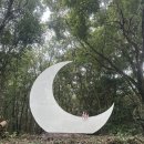 고산로 220 | [제주 서쪽여행] 여자혼자여행 가볼만한곳 코스추천 (2) 인생네컷,협재해수욕장,북카페,산양큰엉곶...