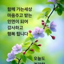 행복한 사람들 Daum카페
