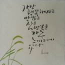 캘리그래피 이미지