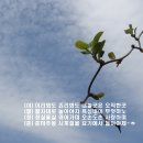 이팔청춘 이미지