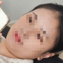 평생 다이어트식 | [W-14] 예비신부 보통에서 마름으로 가는 다이어트 성공 후기_8개월 8kg 감량