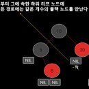 데이터트리