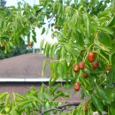 빼뻘버스정류장 이미지