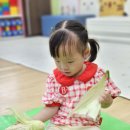 태양어린이집 이미지