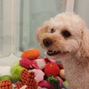 고봉이네 이미지