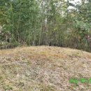 여암 신경준 묘역 이미지