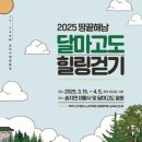 가도 컴퍼니 이미지