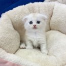 난곡동-50 이미지