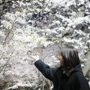 탄동천2 이미지