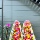 궁 웨딩컨벤션 이미지