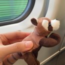 라이크(LIKE)제천 이미지