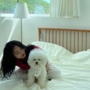 어나더 스위티 이미지