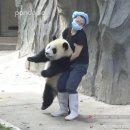 The Hill(더 힐) 이미지