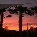 코스타리몬 이미지